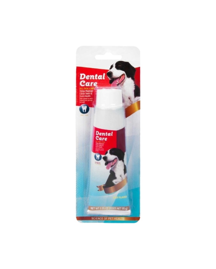 Dental Care 95G