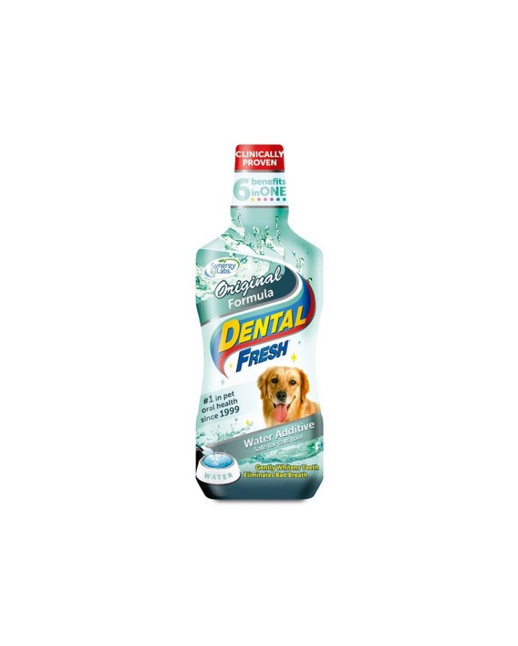 Dental Fresh 17,3 Oz