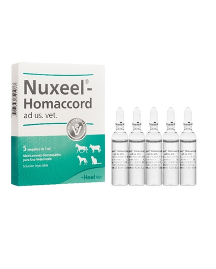 Nuxeel Homaccord Ampolla 5 Ml X 1 Unid