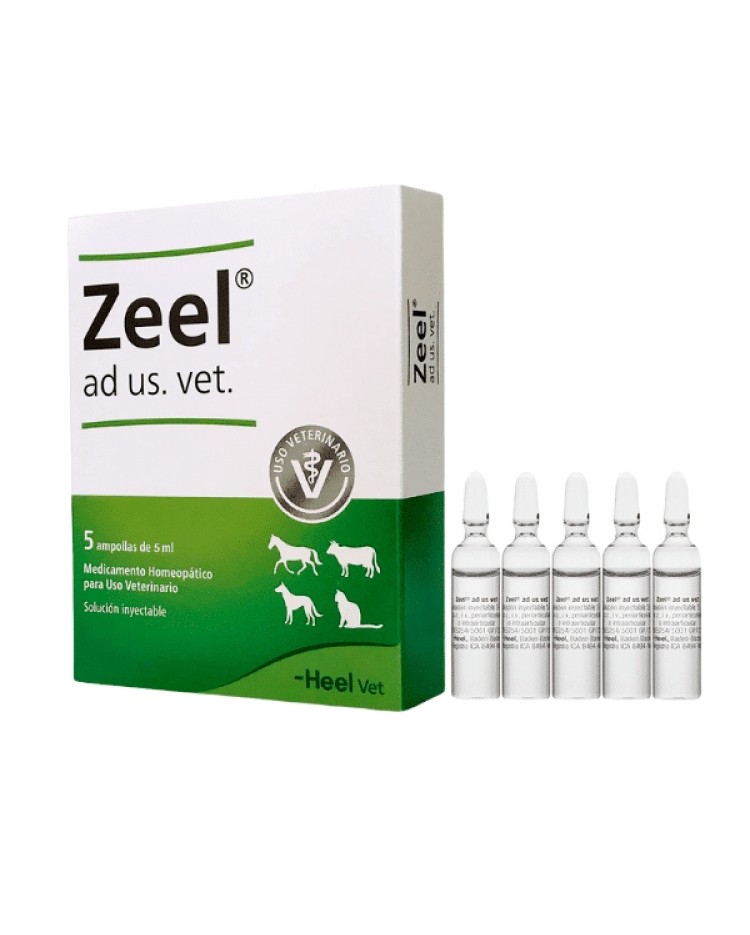 Zeel Ampolla 5 Ml X 1 Unid