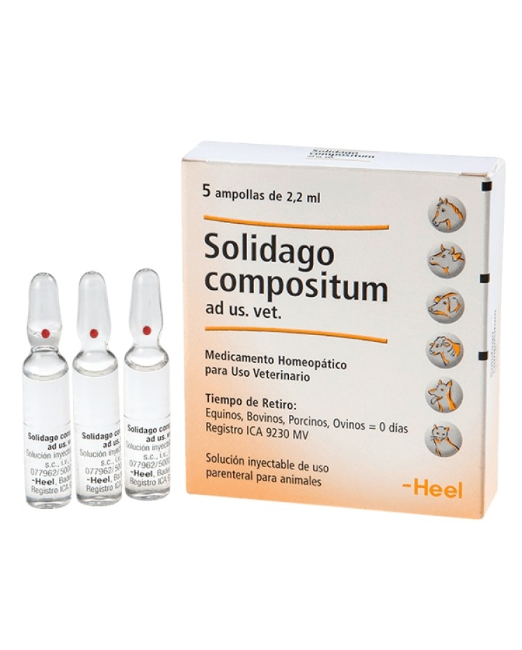 Solidago Compositum Vet Ampolla X2 Ml X 1 Unid