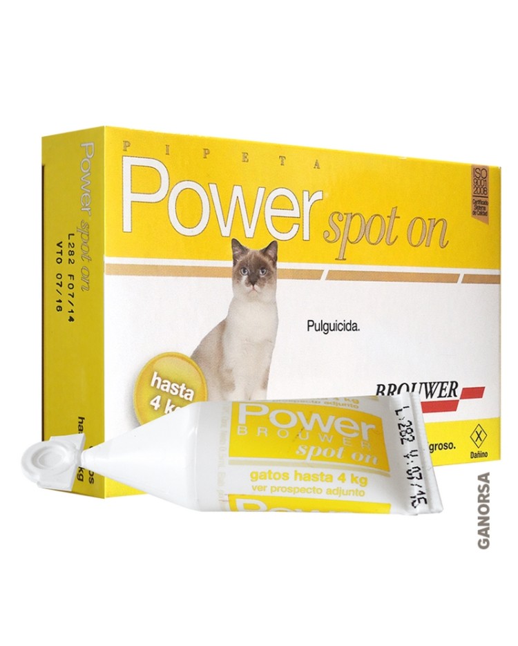 Power Spot On Gato 0 - 4 Kg